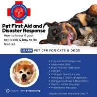 Why Every Pet Owner Should Take a Pet First Aid and Disaster Response Course